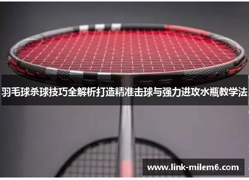 羽毛球杀球技巧全解析打造精准击球与强力进攻水瓶教学法