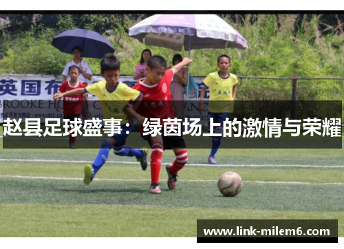 赵县足球盛事：绿茵场上的激情与荣耀