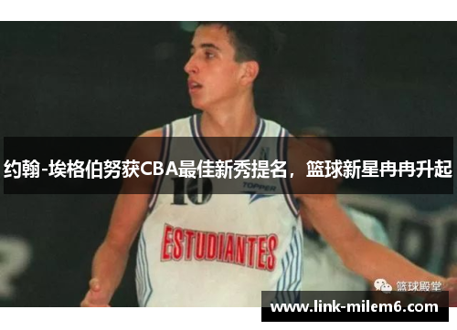 约翰-埃格伯努获CBA最佳新秀提名，篮球新星冉冉升起