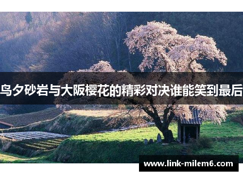 鸟夕砂岩与大阪樱花的精彩对决谁能笑到最后